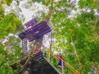        Tall Platform Corcovado Canopy Tour
  - Costa Rica