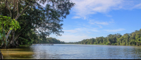        tortuguero national park attraction penetencia river 
  - Costa Rica