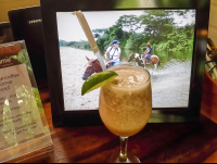       shivas nectar smoothie pranamar 
  - Costa Rica
