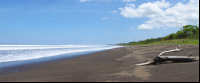        playa nosara stretch
  - Costa Rica