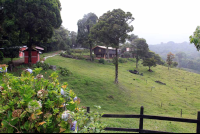        rancho makena pastures 
  - Costa Rica