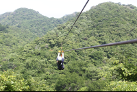        lady glides away
  - Costa Rica