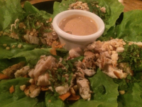        thai chicken wraps gilded iguana
  - Costa Rica