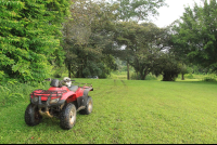        fourtrax rainmaker 
  - Costa Rica