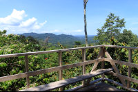        kekoldi reserve attraction birdwatching tower 
  - Costa Rica