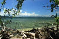        cahuita national park attraction page coast 
  - Costa Rica