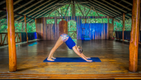        Doing Yoga Encanta La Vida Matapalo Costa Rica
  - Costa Rica