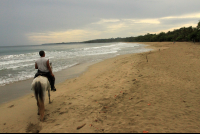        terraventuras beach horseback ride cocles beach 
  - Costa Rica