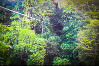        Long Cable Osa Palmas Canopy Tour
  - Costa Rica