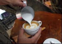        treehouse coffee pour 
  - Costa Rica