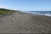        playa grande green 
  - Costa Rica