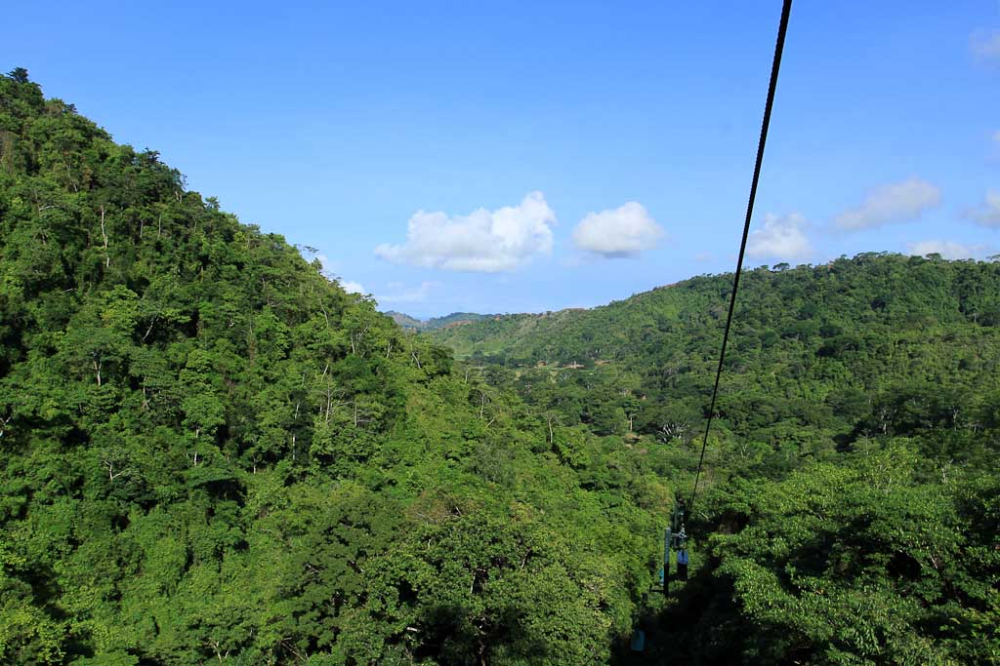        rainforest adventures landscape 
  - Costa Rica
