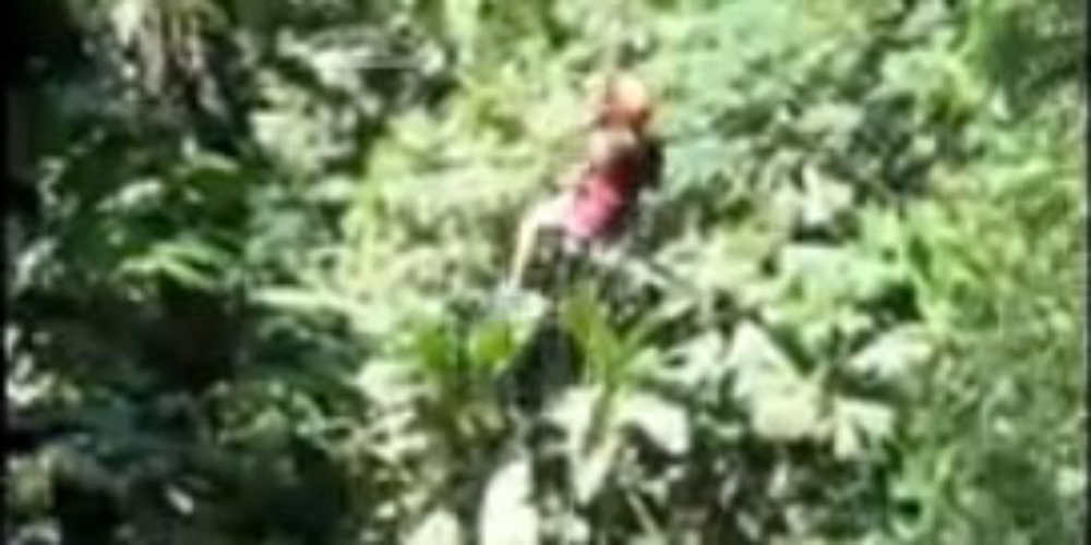        waterfall rappelling freefall
  - Costa Rica