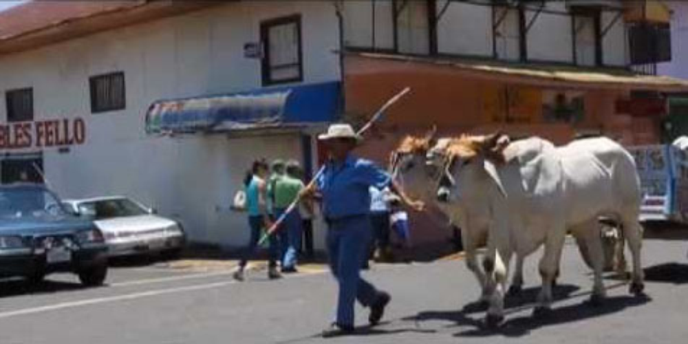        atenas oxcart parade
  - Costa Rica