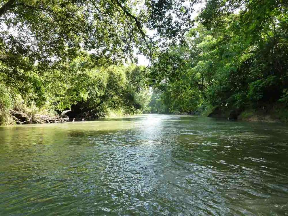        penas blancas river 
  - Costa Rica
